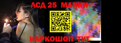 шишки Бердск