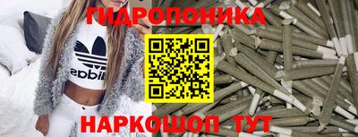 шишки Бердск