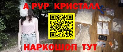 шишки Бердск